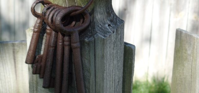 Unlicensed Healthcare Providers