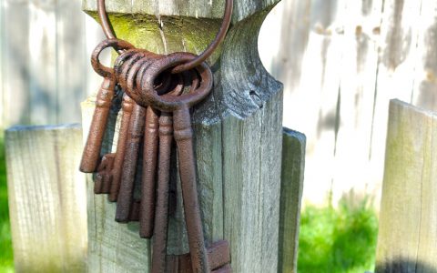 The Seminal Bice Case and the Start of HARBR