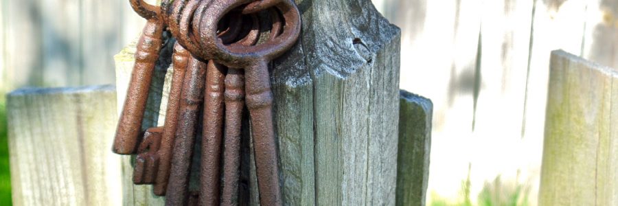 The Seminal Bice Case and the Start of HARBR